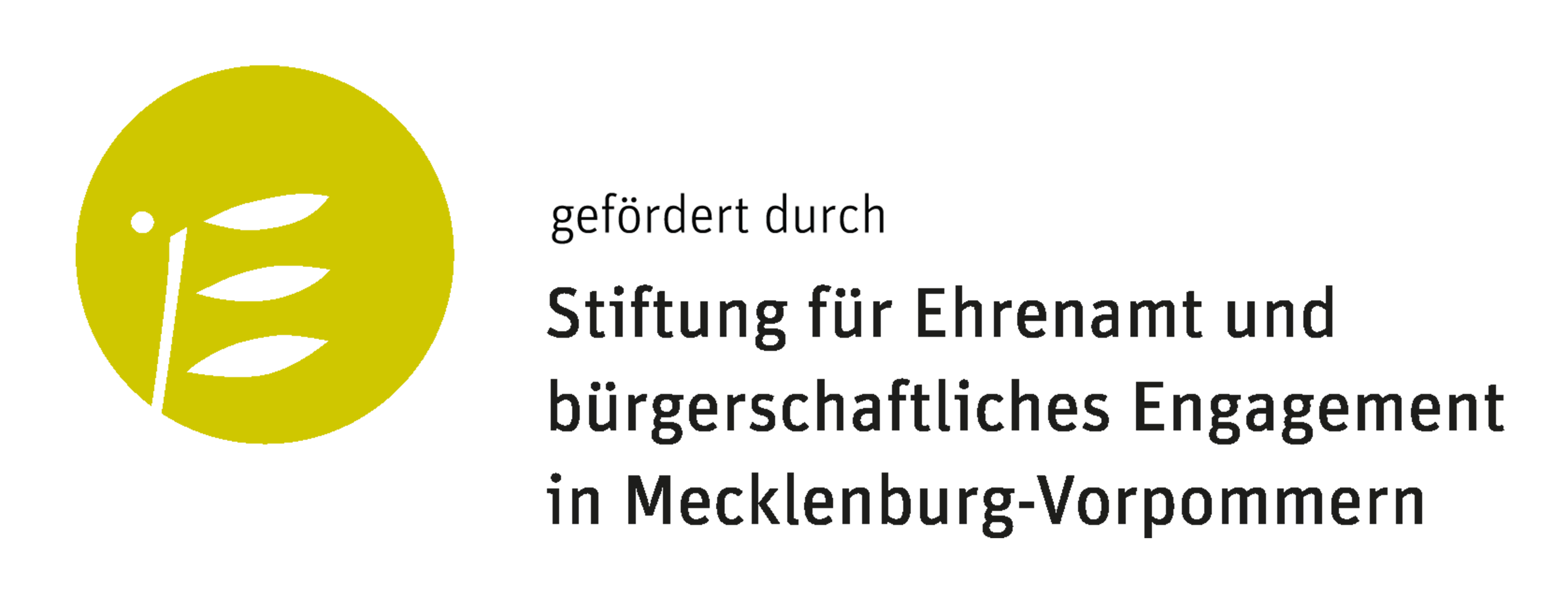 Stiftung für Ehrenamt und Bürgerschaftliches Engagement MV