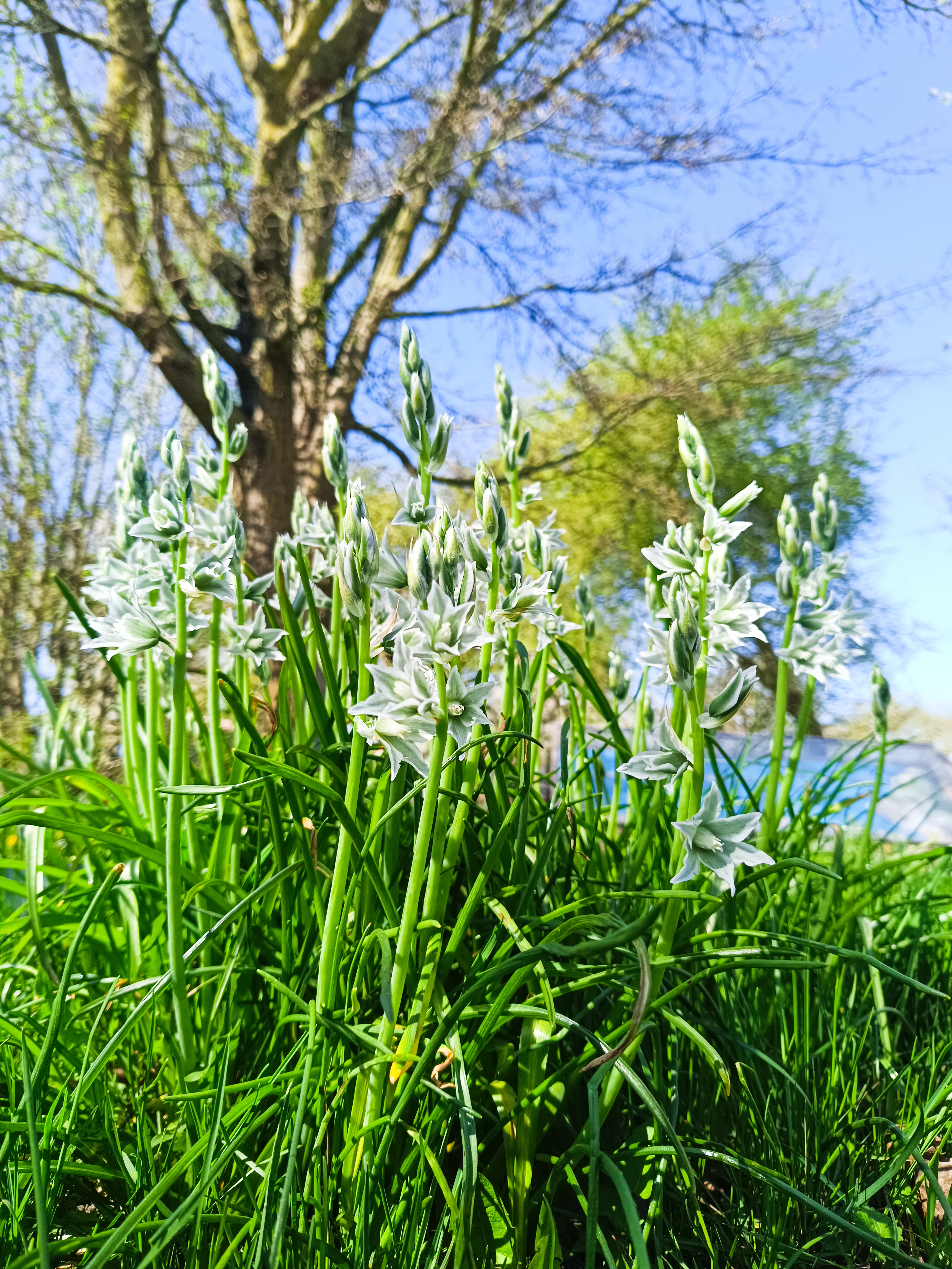 Vorfreude auf den Frühling