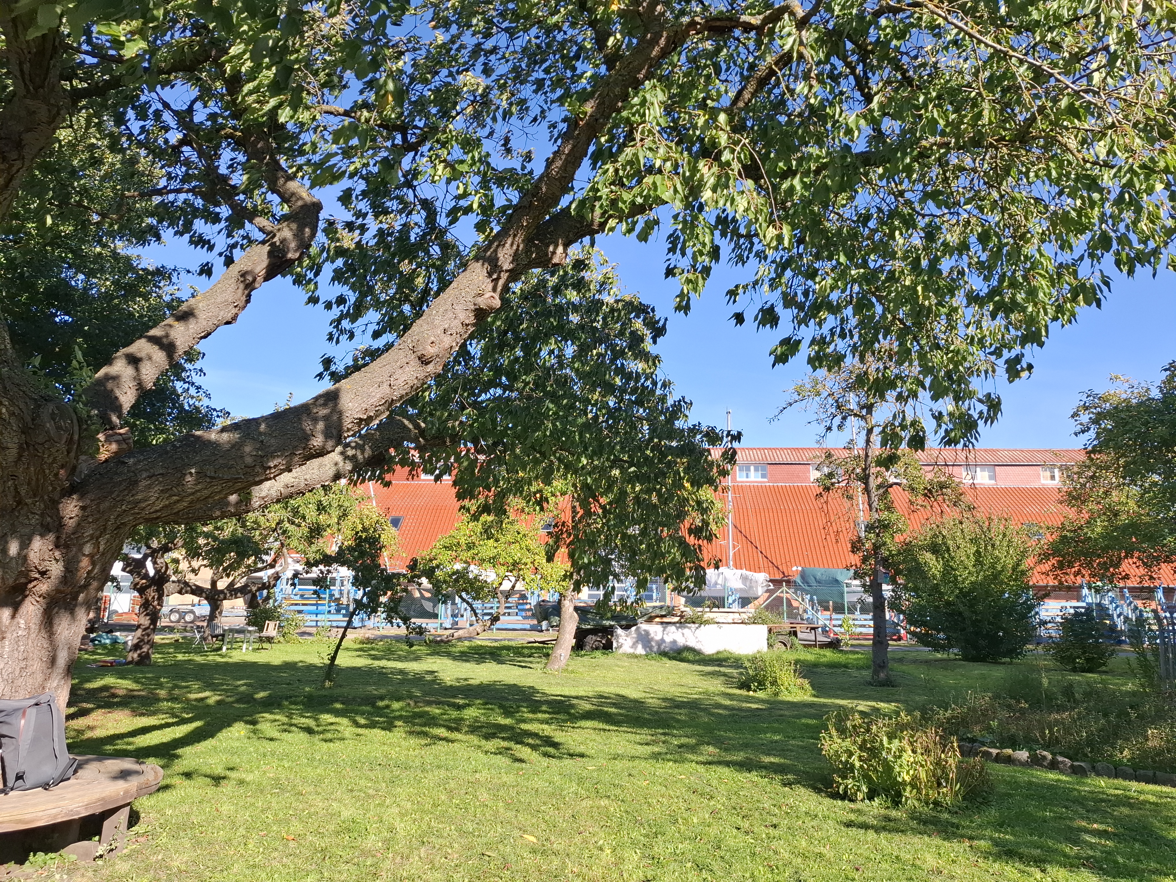 Interkulturelle Woche FÜReinander da sein - Bild 2