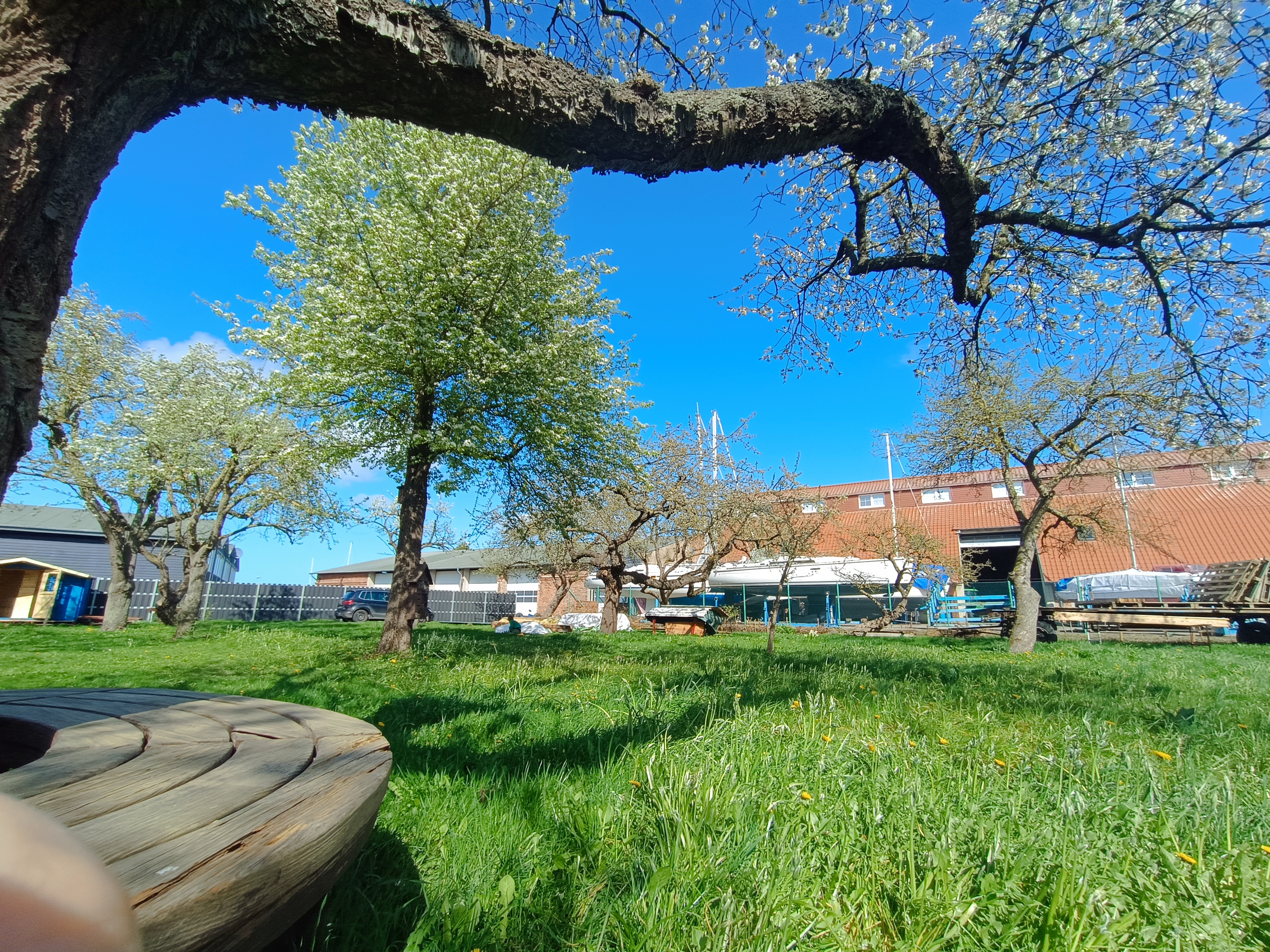 🌱 Saisonauftakt im Garten der Begegnung Barth!