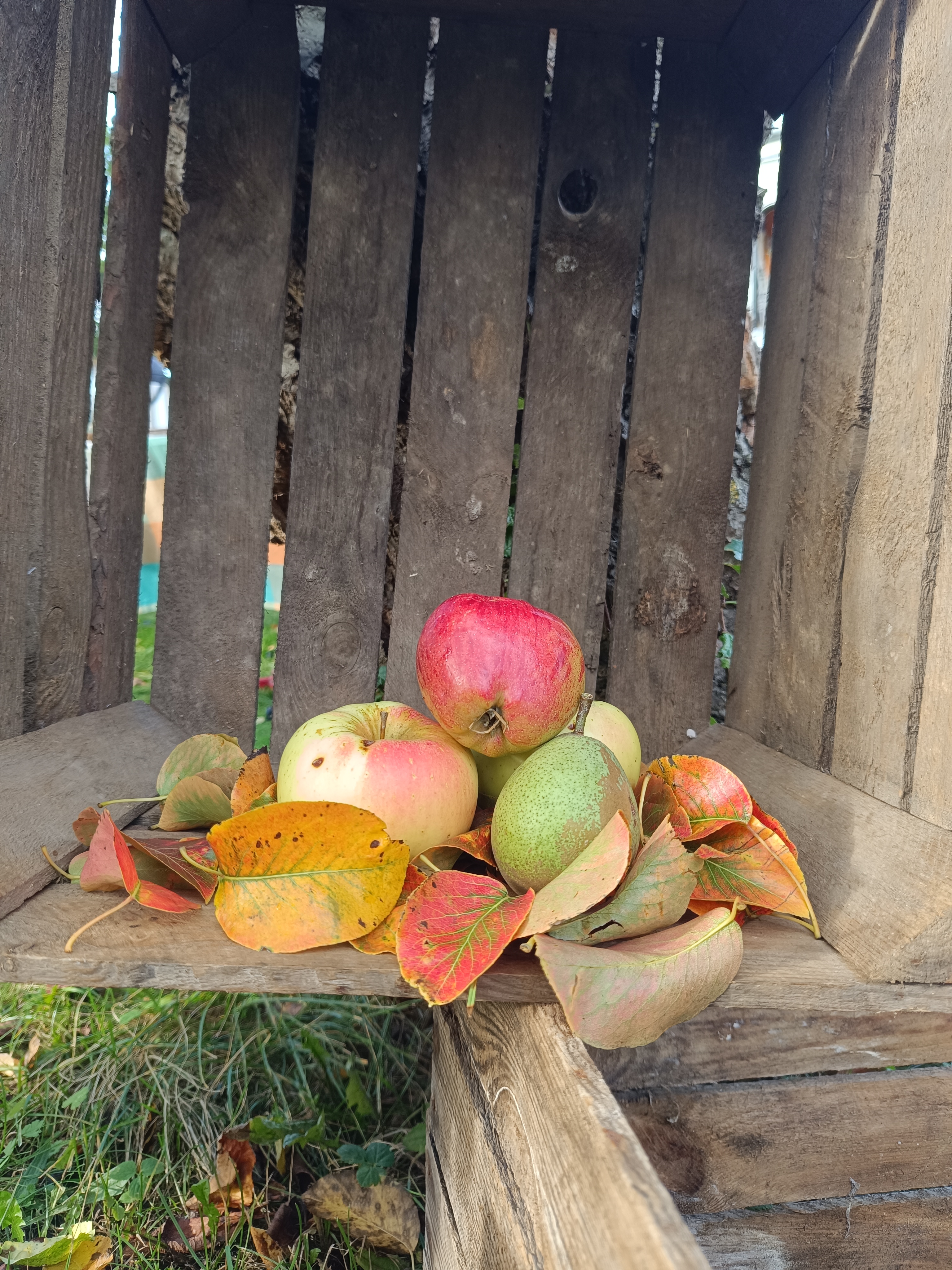 Appeldag Im Garten der Begegnung