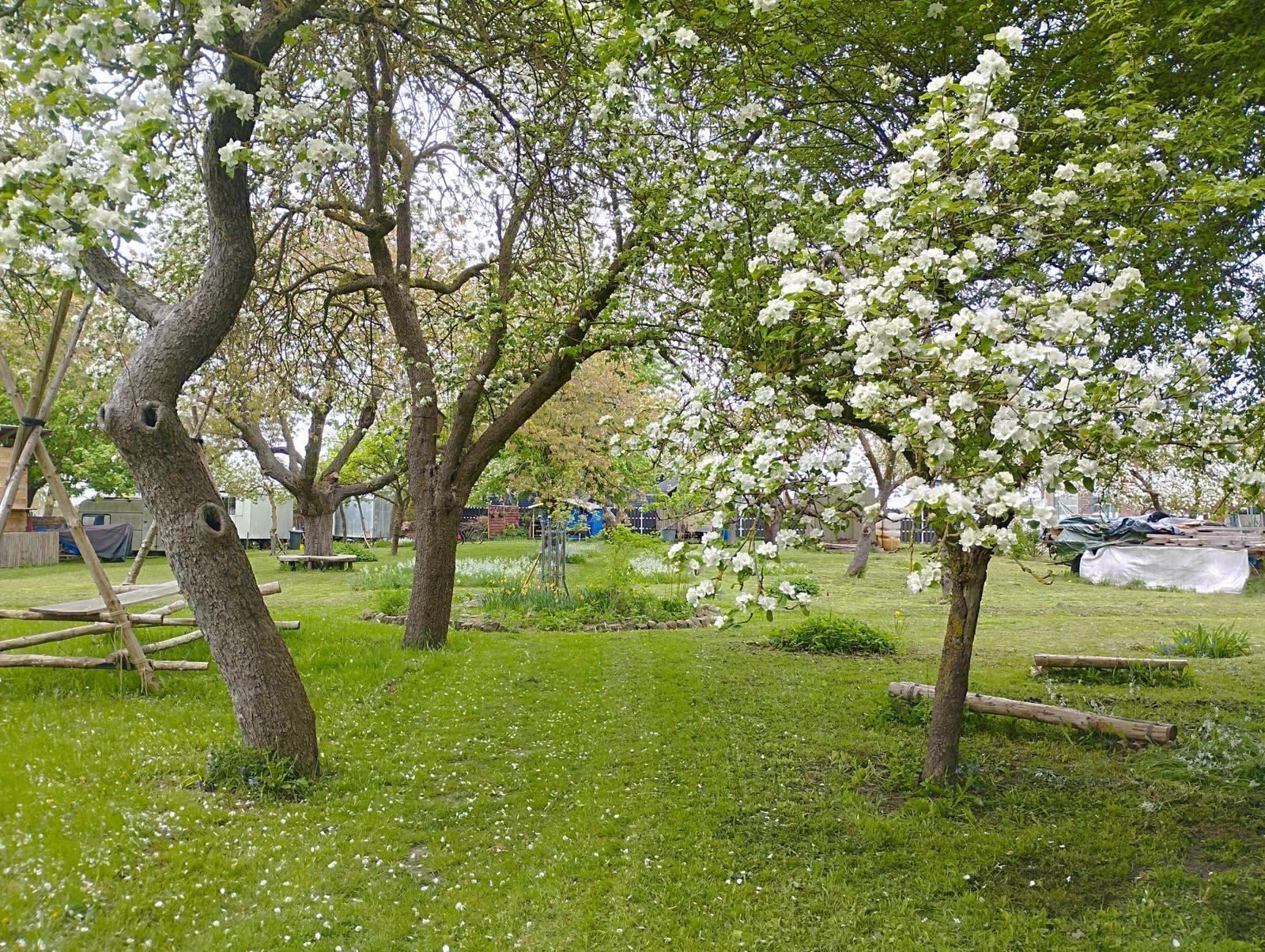 Galeriebild 1