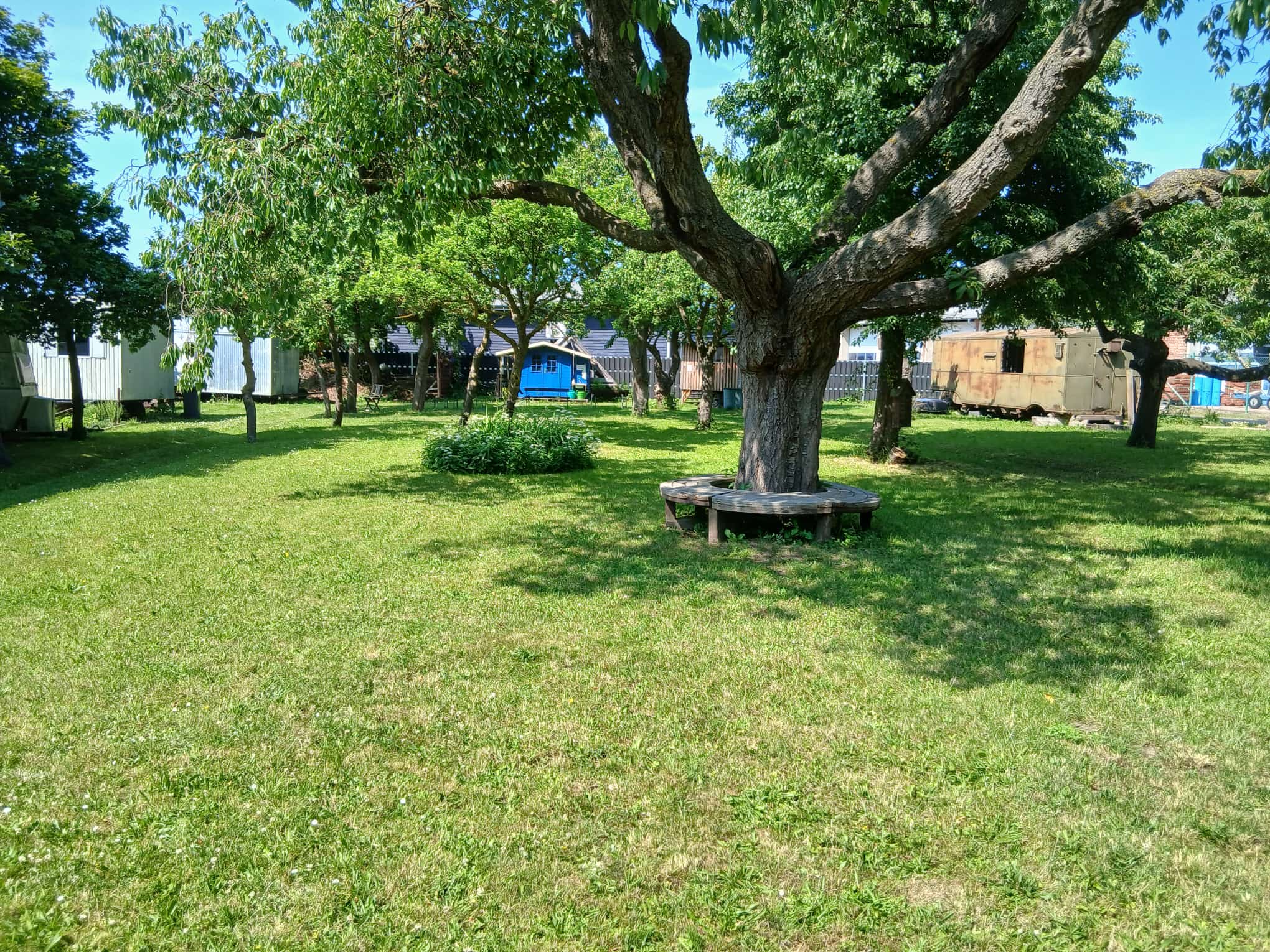 Galeriebild 6