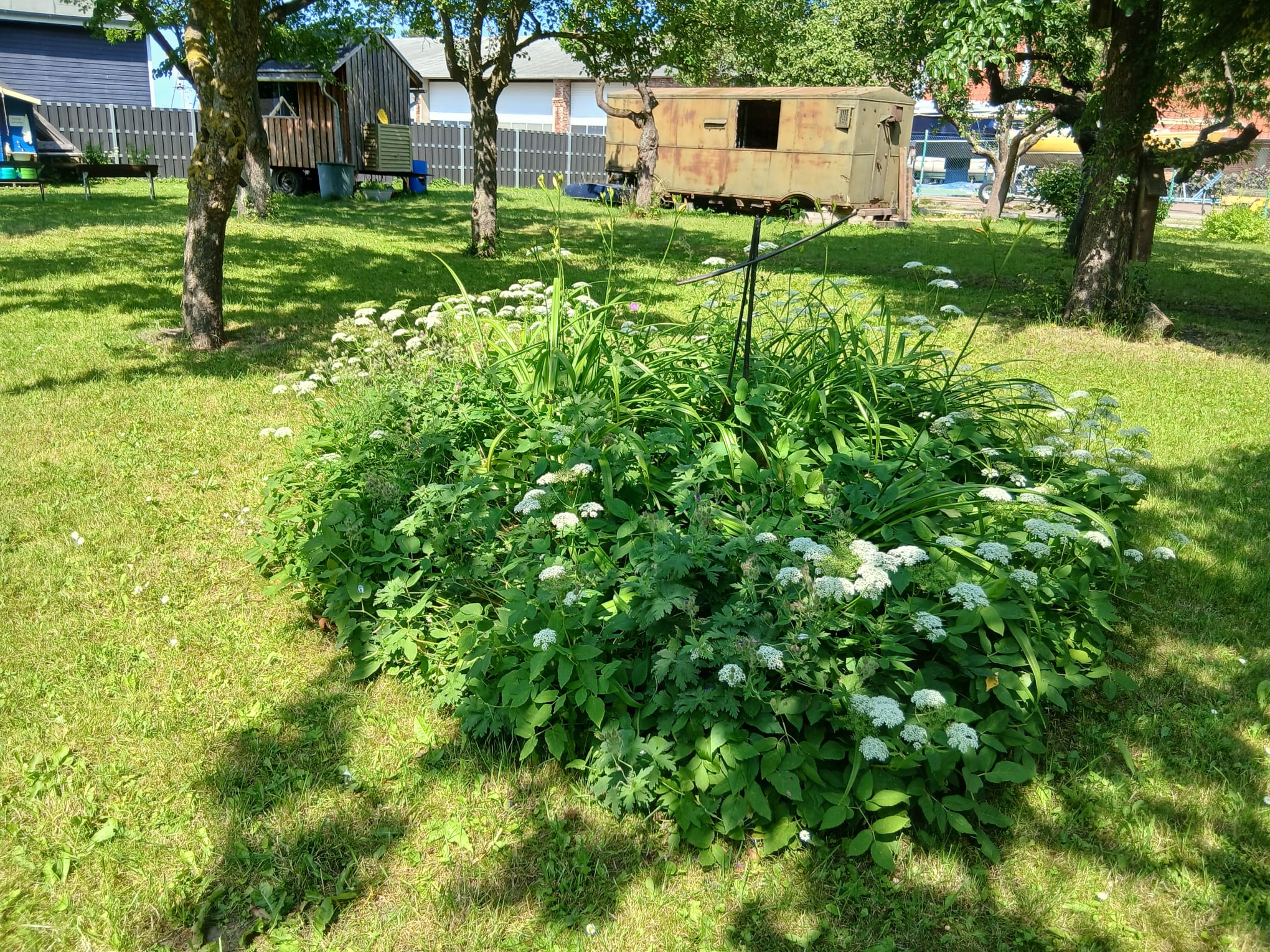Galeriebild 5